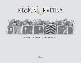 Obrázok Měsíční květina