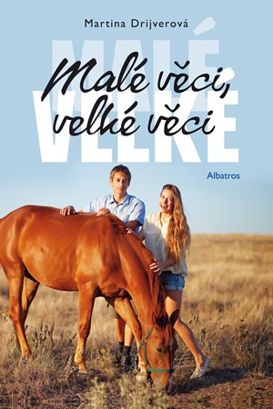 Obrázok Malé věci, velké věci