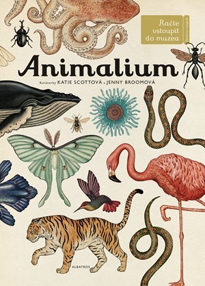 Obrázok Animalium
