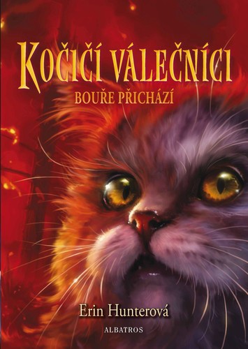 Obrázok Kočičí válečníci (4) - Bouře přichází