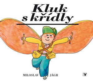 Obrázok Kluk s křídly