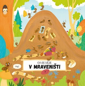 Obrázok Co se děje v mraveništi