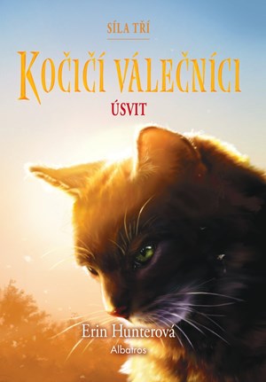 Obrázok Kočičí válečníci: Síla tří (6) – Úsvit