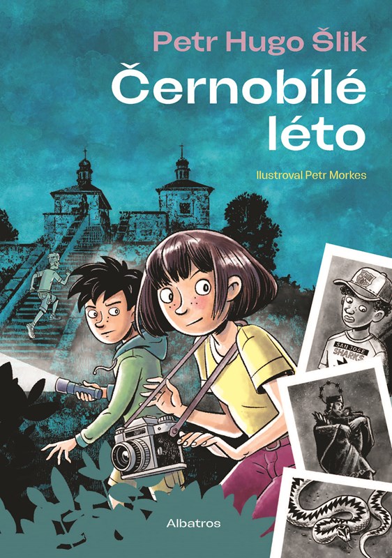 Obrazok Černobílé léto