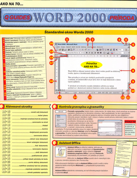Obrázok Word 2000 karta-Ako na to ....