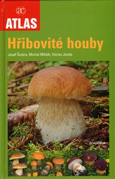 Obrazok Hřibovité houby