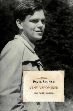 Obrázok Vlny vzpomínek