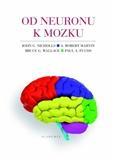 Obrázok Od neuronu k mozku