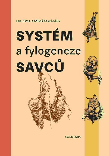 Obrázok Systém a fylogeneze savců
