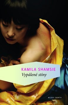 Obrázok Vypálené stíny