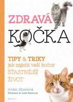 Obrázok Zdravá kočka