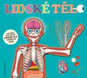 Obrázok Lidské tělo