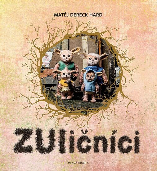 Obrázok ZUličníci - Příběh vykutálených tvorečků z města