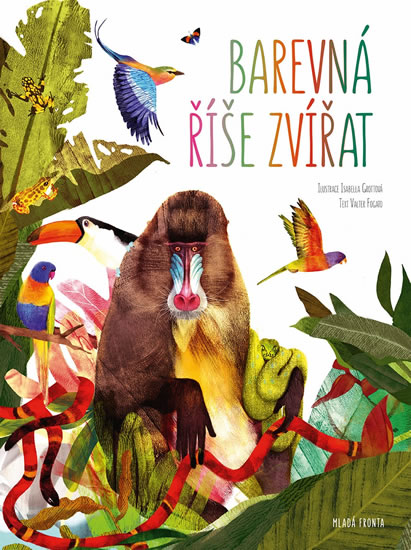 Obrázok Barevná říše zvířat