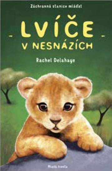 Obrázok Lvíče v nesnázích - Záchranná stanice ml