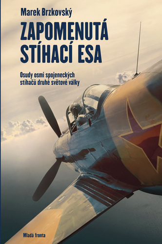 Obrázok Zapomenutá stíhací esa - Osudy osmi spoj