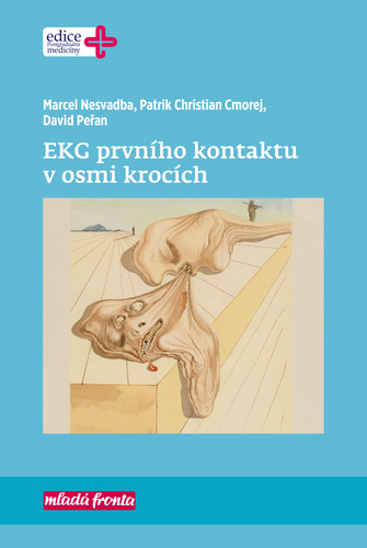 Obrázok EKG prvního kontaktu v osmi krocích