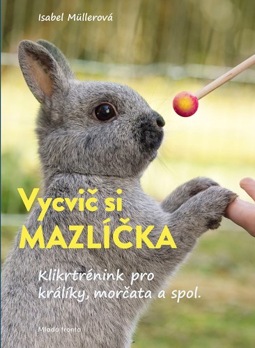 Obrázok Vycvič si mazlíčka!