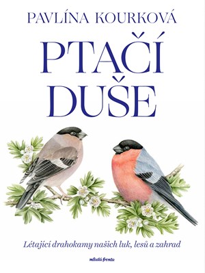 Obrázok Ptačí duše