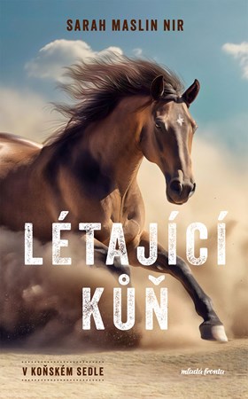 Obrázok V koňském sedle: Létající kůň