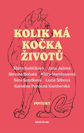 Obrázok Atopický deník