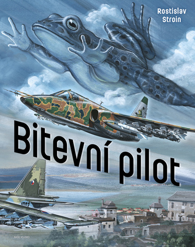 Obrázok Bitevní pilot