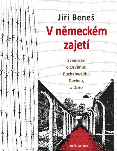 Obrázok V německém zajetí