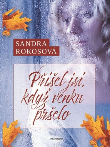 Obrázok Přišel jsi, když venku pršelo