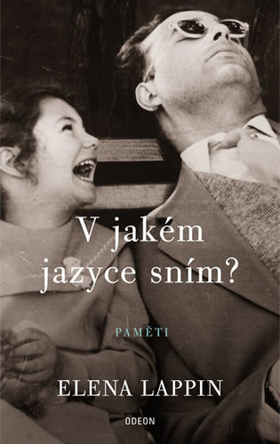 Obrázok V jakém jazyce sním?