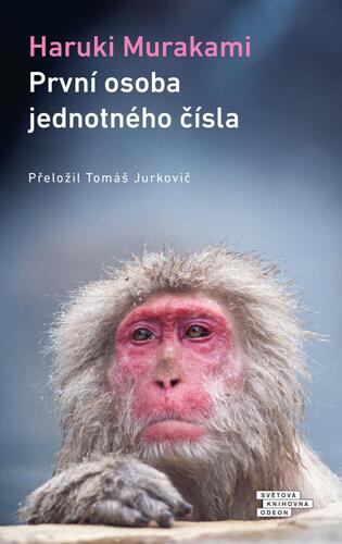 Obrázok První osoba jednotného čísla