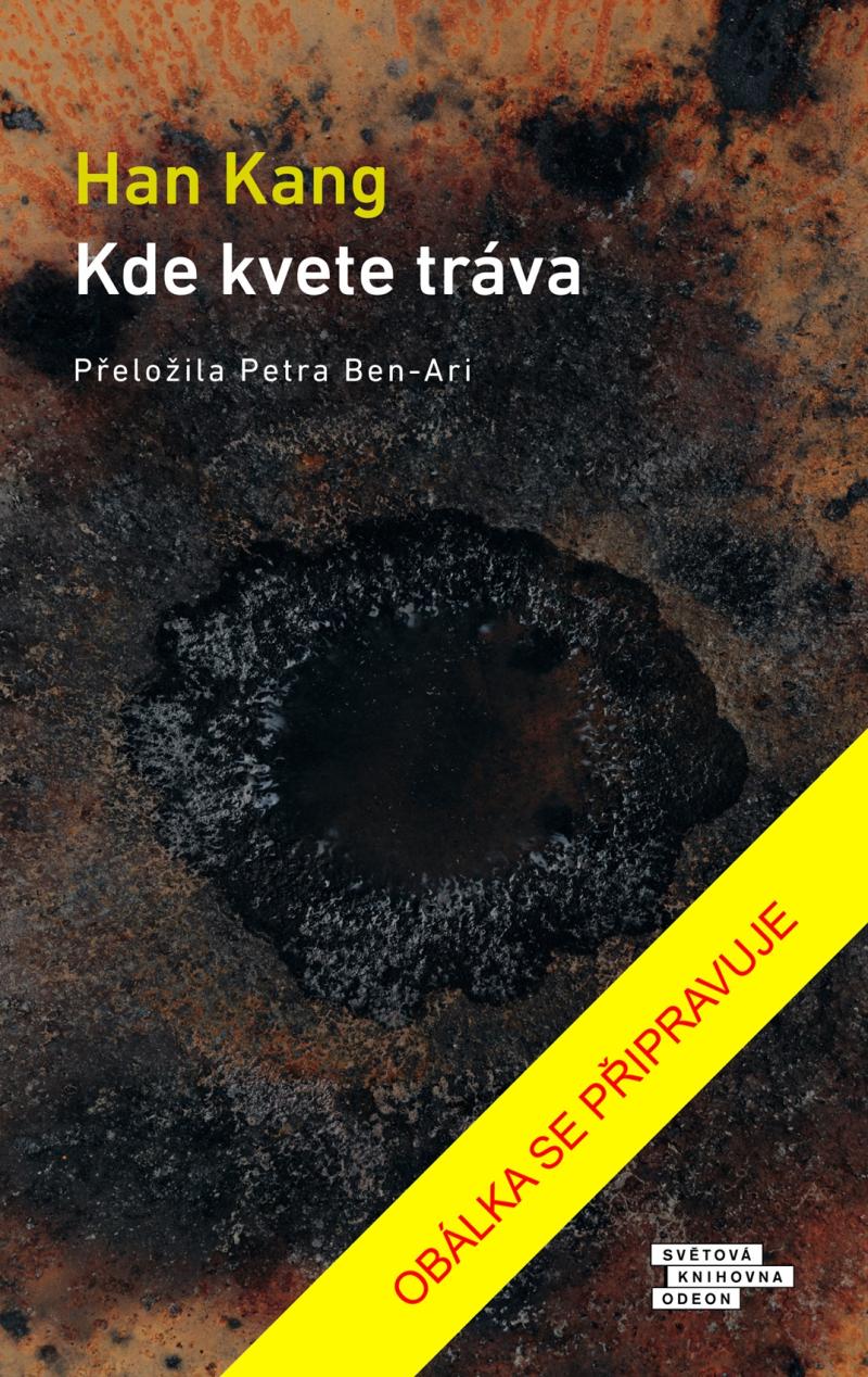 Obrázok Kde kvete tráva