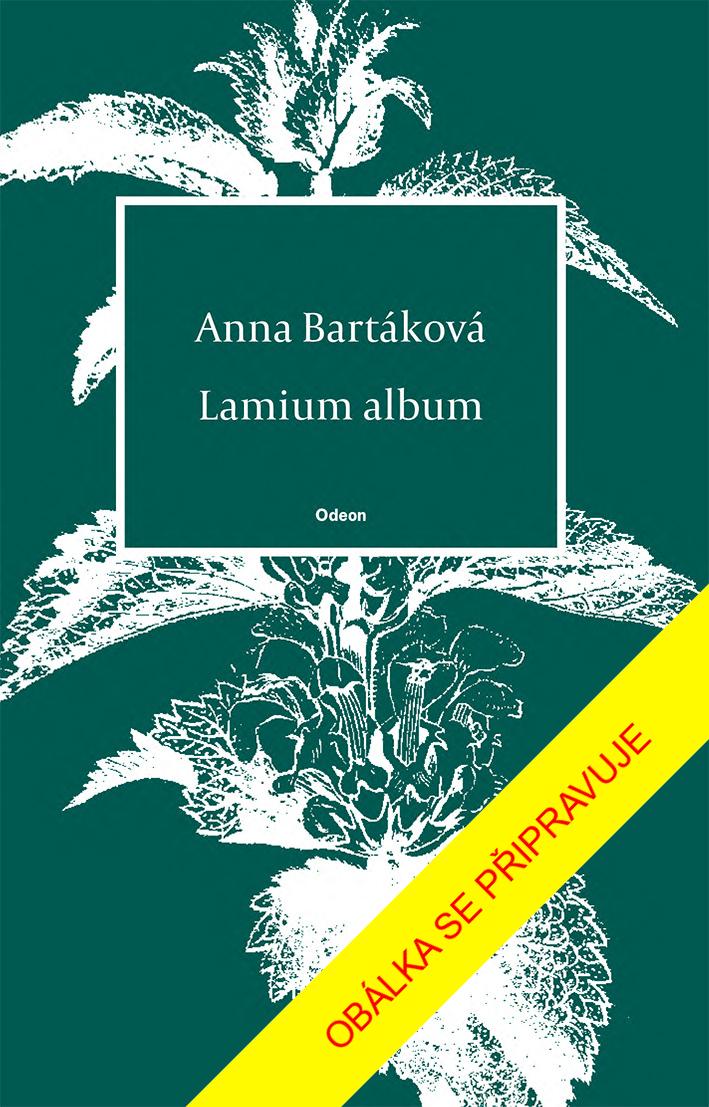 Obrázok Lamium album
