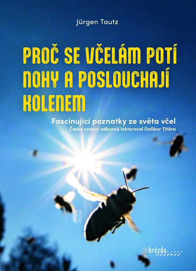 Obrázok Proč se včelám potí nohy a poslouchají kolenem