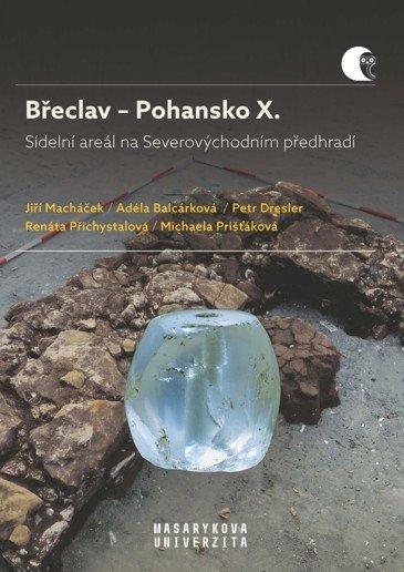 Obrázok Břeclav - Pohansko X. Sídelní areál na Severovýchodním předhradí