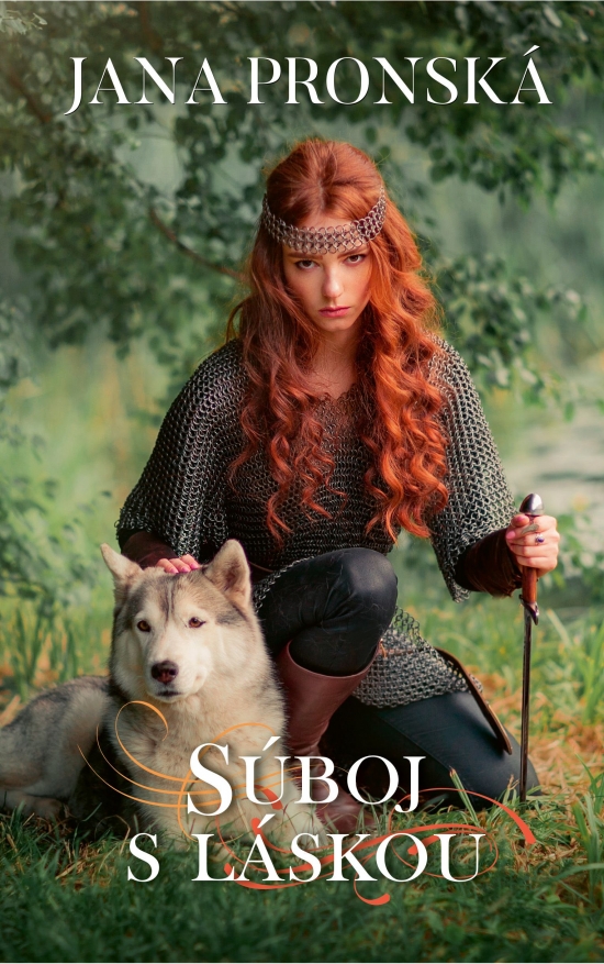 Obrázok Súboj s láskou