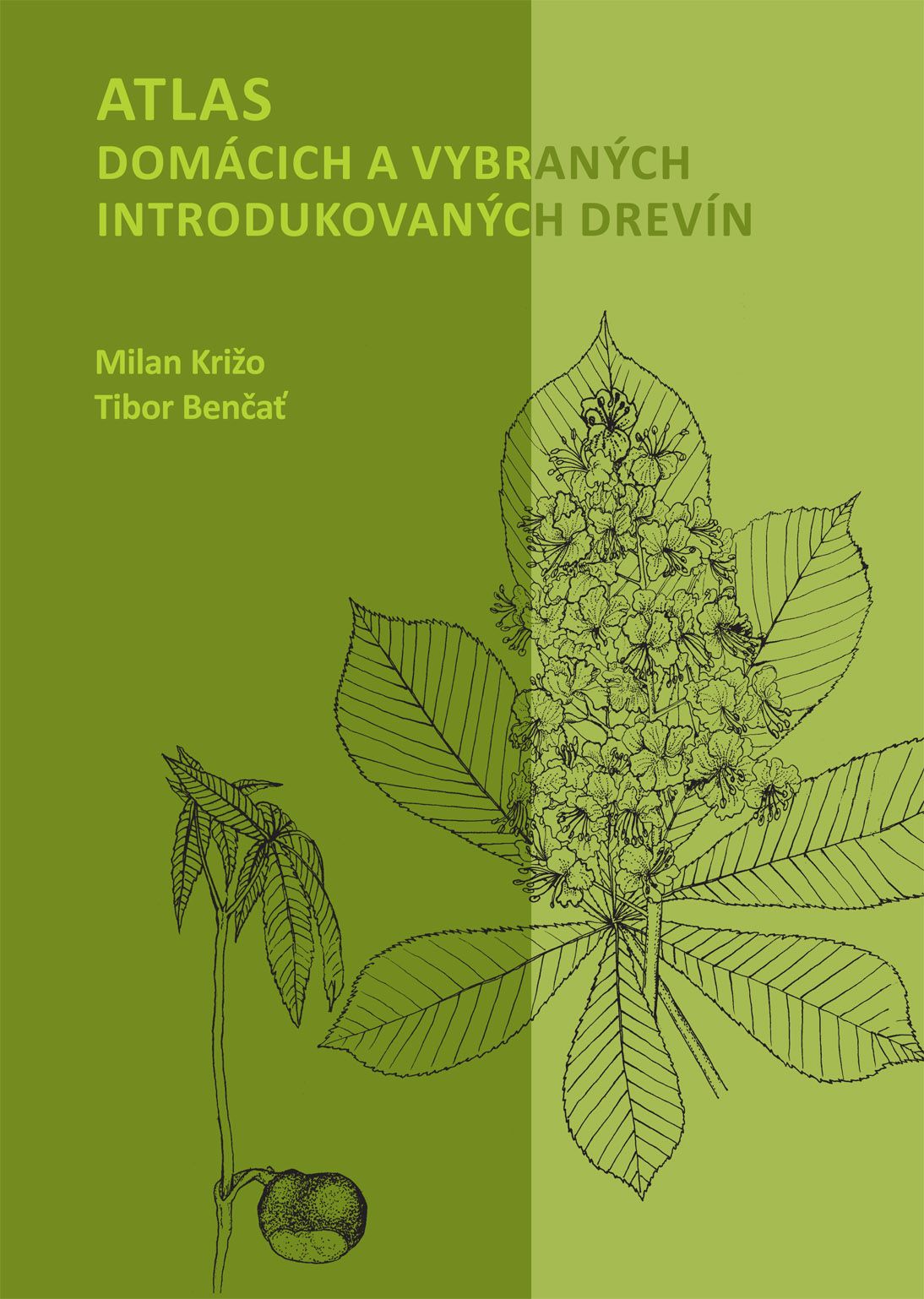 Obrazok Atlas domácich a vybraných introdukovaných drevín