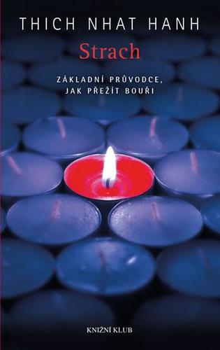 Obrázok Strach. Základní průvodce, jak přežít bouři