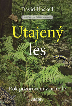 Obrázok Utajený les