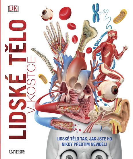 Obrázok Lidské tělo v kostce