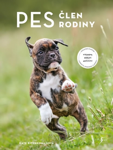 Obrázok Pes – člen rodiny