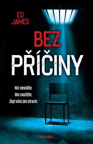 Obrázok Bez příčiny