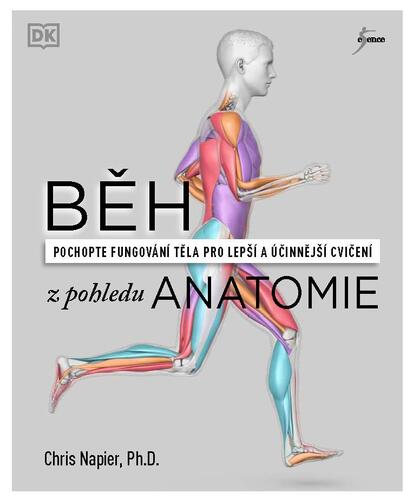 Obrázok Běh z pohledu anatomie - Správná technika, prevence před zraněním, nastavení tréninku