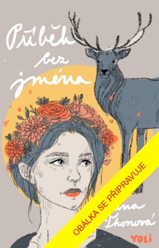 Obrázok Příběh bez jména