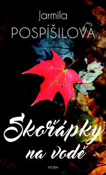 Obrázok Skořápky na vodě