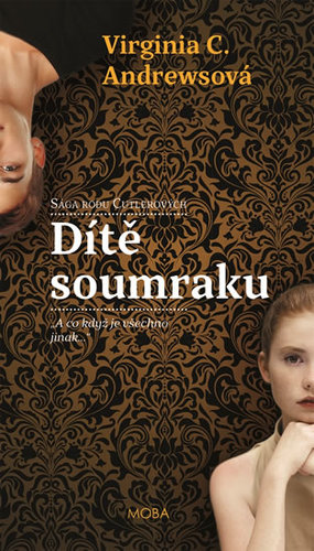 Obrázok Dítě soumraku