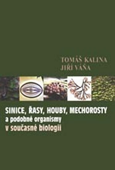Obrázok Sinice, řasy, houby, mechorosty a podobné organismy v současné biologii