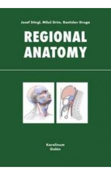 Obrazok Regional anatomy