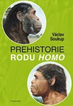 Obrázok Prehistorie rodu Homo