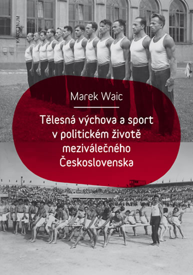 Obrázok Tělesná výchova a sport v politickém životě meziválečného Československa