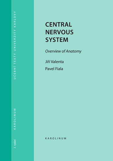 Obrázok Central Nervous System Overview of Anatomy